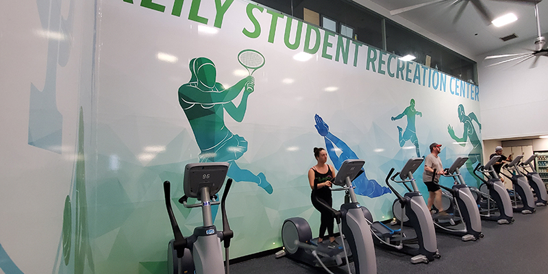 cardio-zone-2-800x400 Reily Center Cardio Zone Interior Wall Mural