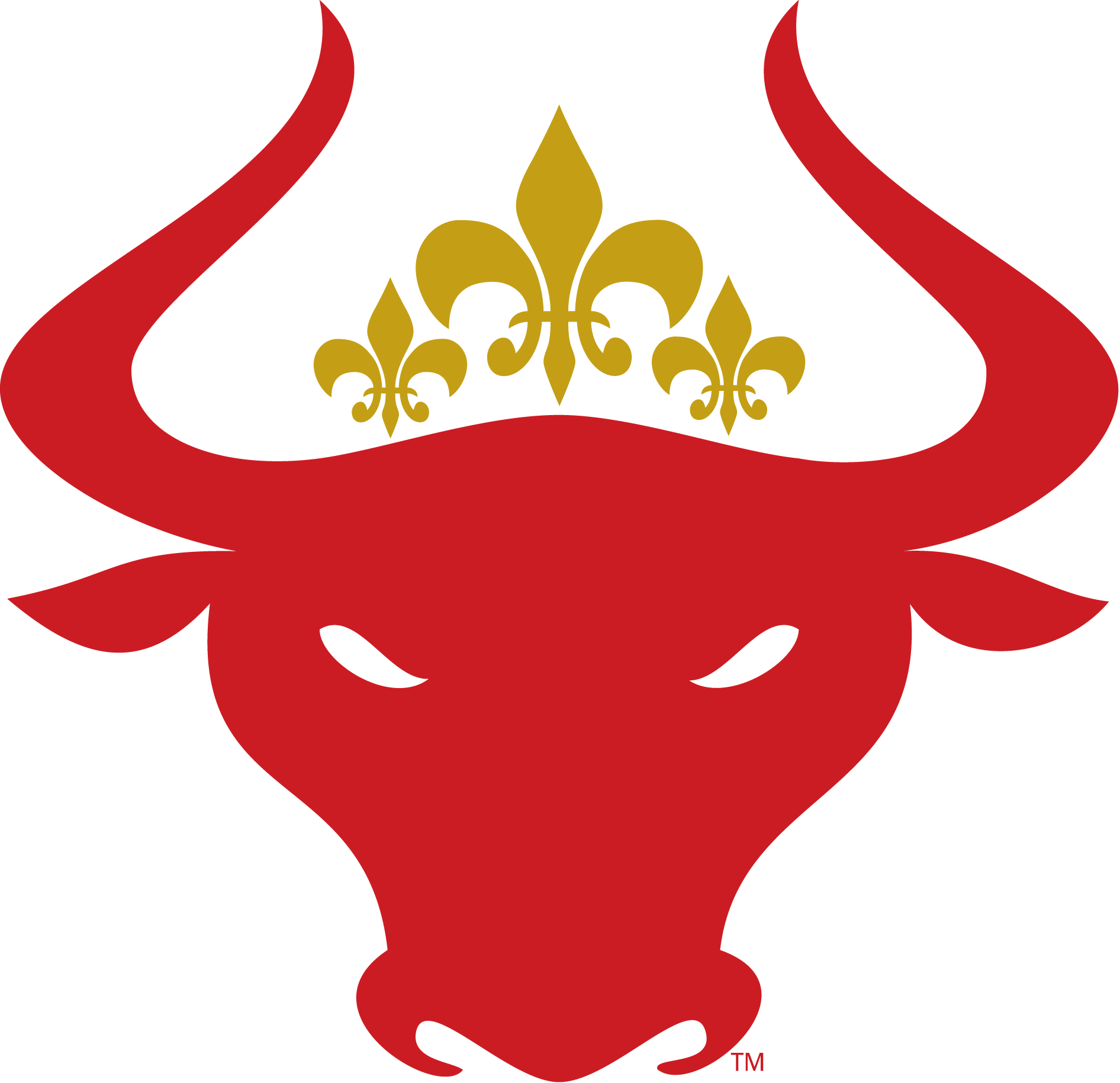Nola Bulls Logo